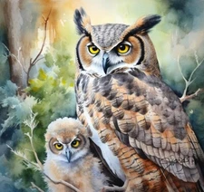 Barn Owl Painting Handmade 8x11 Watercolor Art Print Decor