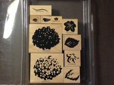 Stampin' Up Definitely Decorative Hydrangea "1998" stamp set