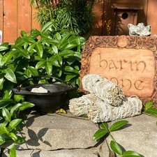 California White Sage Smudge Sticks / Wands 3 