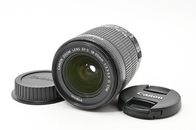 [Near Mint w/caps] Canon EF-S EFS 18-55mm f/3.5-5.6 IS STM Zoom Lens From JAPAN