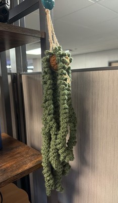 Small Hanging Crochet Plant. Don t Have To Water! Cute Decor. 14  Long. 4  Round