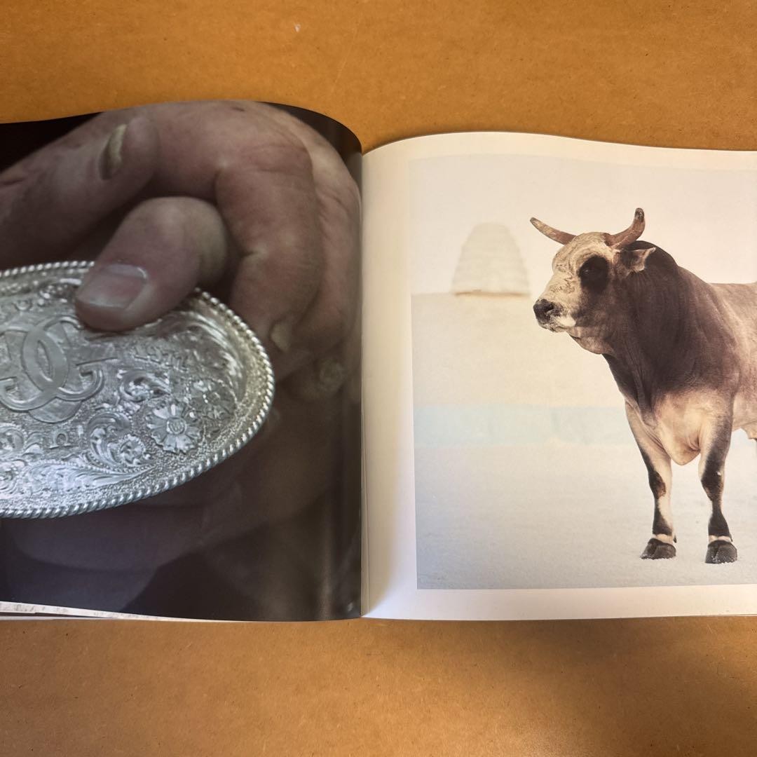 Matthew Barney Cremaster 2 Artbook Embossed Design Used