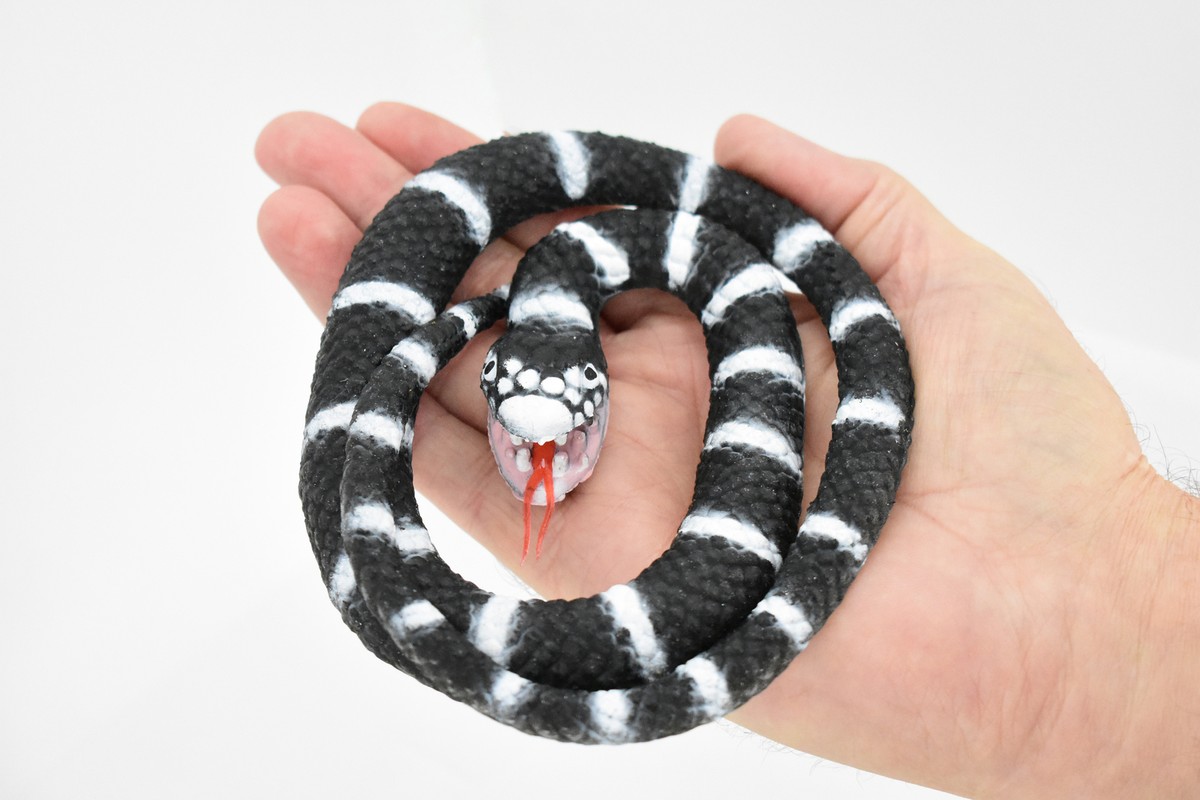 California King Snake, Coiled, Rubber Reptile Realistic Toy Model