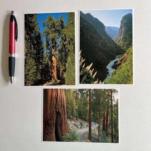 Sequoia Kings Canyon National Park Large Size Postcards