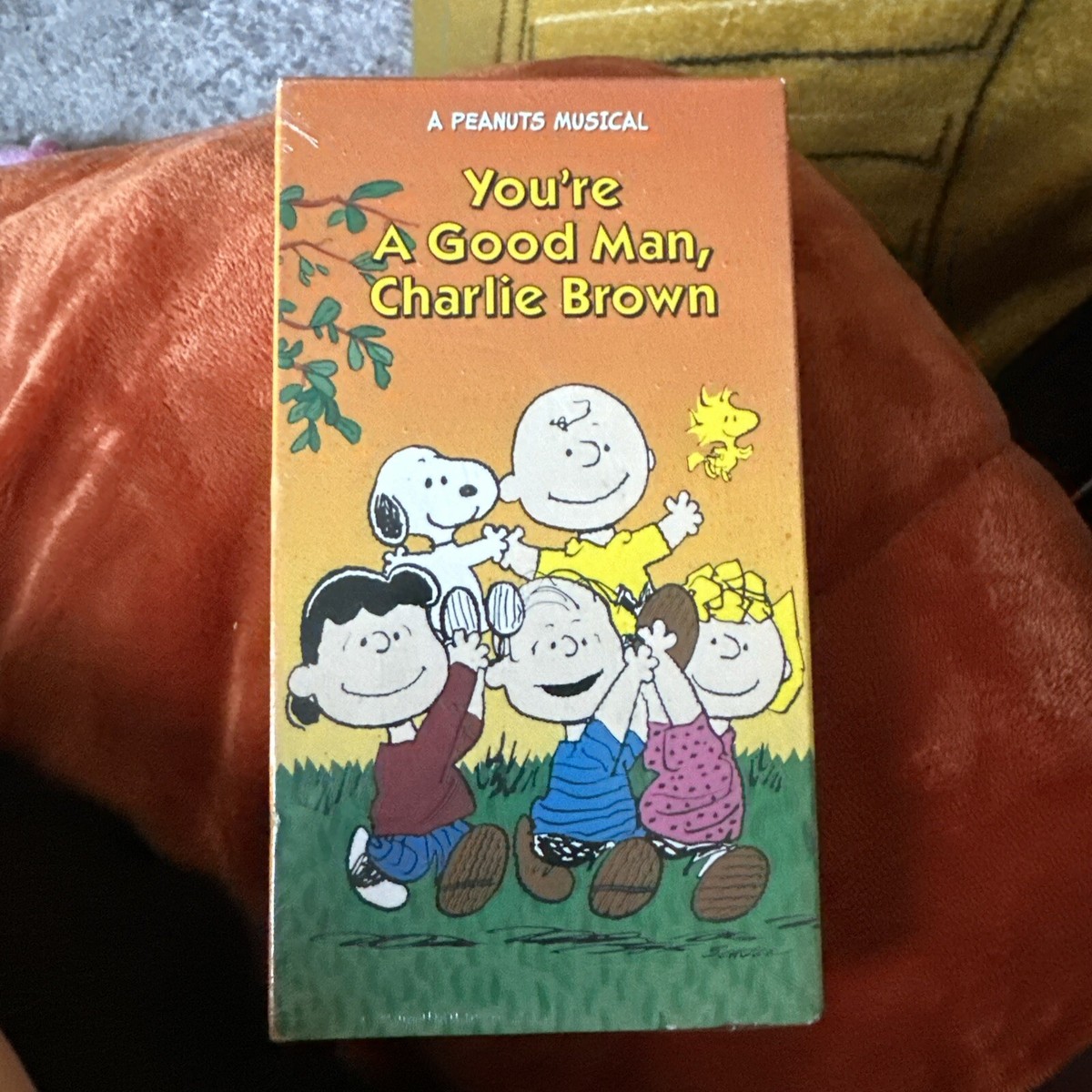 USオリジナル YOU ARE GOOD MAN, CHARLIE BROWN Amazon.com: You're a Good Man, Charlie Brown : Kevin Brando