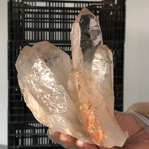 996g Natural white transparent Clear Quartz Crystal Cluster Mineral Healing E979 - Picture 8 of 14