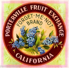 Porterville Forget-Me-Not #2 Flowers Orange Citrus Fruit Crate Label Art Print
