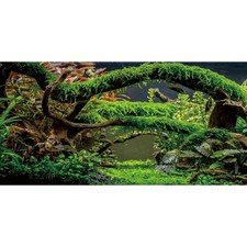 48x24 in Arch Branch Aquarium Backdrop Aquatic Plant Fish Tank Background