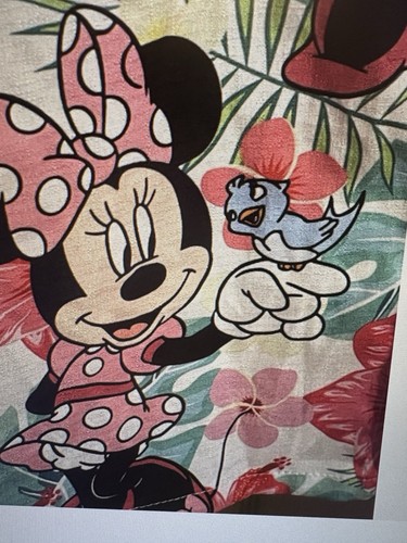 UNBRANDED MINNIE MOUSE ADORABLE FLORAL LIGHTWEIGHT BLOUSE LONG SLEEVES NO TAGS - Picture 5 of 9