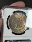 1884-O Morgan Silver Dollar NGC MS65 Toned Reverse