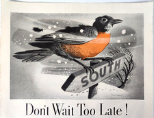 Robin Fly South Veedol Motor Oil Vintage 1937 Ad Magazine Print Bird