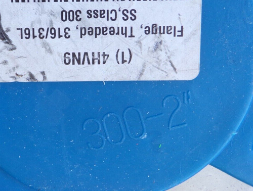 4HVN9 Threaded Flange, Class 300, 316L Stainless Steel - 8 bolt holes; pE - Picture 9 of 9