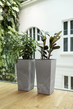 Blumenkübel Blumentopf Pflanzkübel Pflanzeinsatz 6 Farben 6 Größen Betonoptik