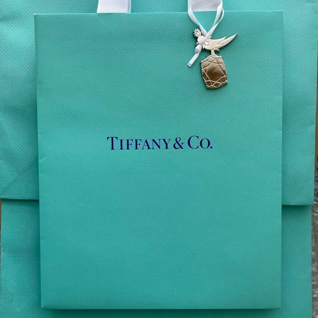 Tiffany Co. Bird on a Rock Schlumberger Charm Limited Japan 2 Not silver