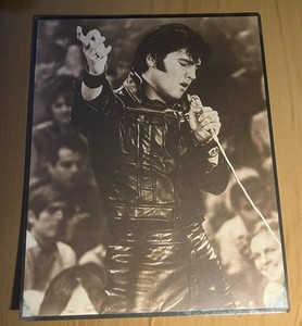 Elvis Good Star Collection Photo 8x10 In Plastic With Card