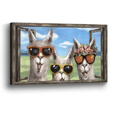 Window Animal Wall Art Decor: Llama Canvas Picture Print Funny Sunglasses Alp...