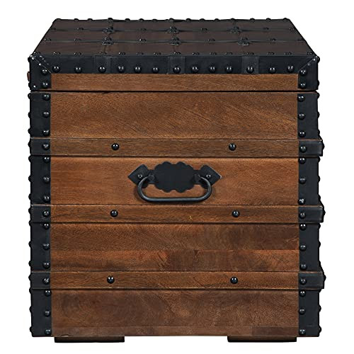 Kettleby Vintage Wood Storage Trunk or Coffee Table with Lift Top 19", Brown - Picture 10 of 11