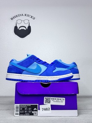Size 10 - Nike Dunk Low Pro SB Fruity Pack Blue Raspberry DM0807-400