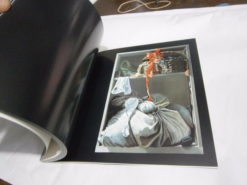 Catalogue exposition Lyon trompe l'oeil réalité Cadiou Gaillard Gilou Le Prince - Imagen 4 de 8