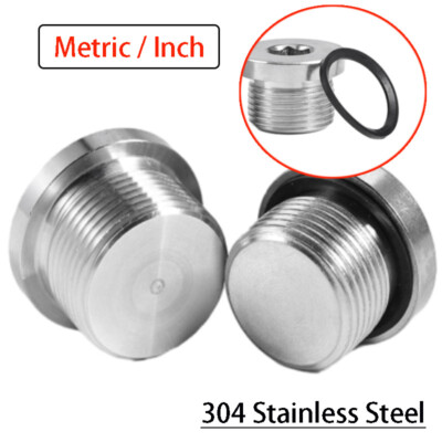 Stainless Steel Blanking Plug Internal Hex Threaded Plugs BSP / Metric ...