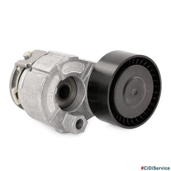 INA - Tendicinghia Tenditore Cinghia Servizi Poly-V Renault Dacia Nissan 1.5 dCi - Imagen 4 de 4