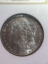  on The Hot Collector