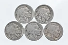 BETTER Lot 1927-S 1923-S 1929-S 1927-D 1920-S Buffalo Nickel Collection *113