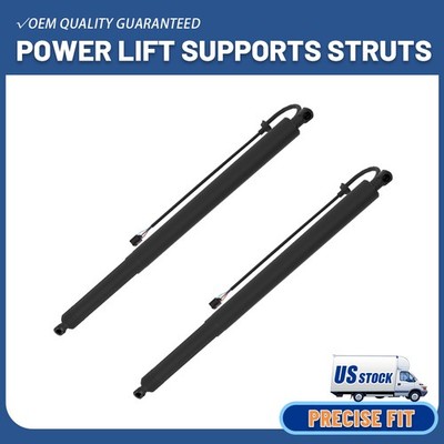 2pcs Rear Tailgate Power Lift Supports for Hyundai Santa Fe 2019-2020 2.0L/2.4L