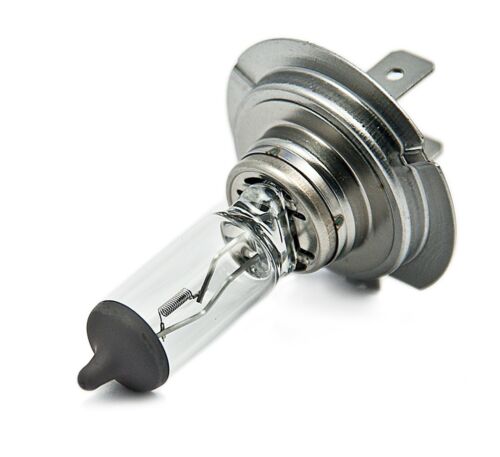 Flosser Rally H7 80W 12070 Two Bulbs Head Light Low Beam High Wattage Upgrade EO - Picture 3 of 12