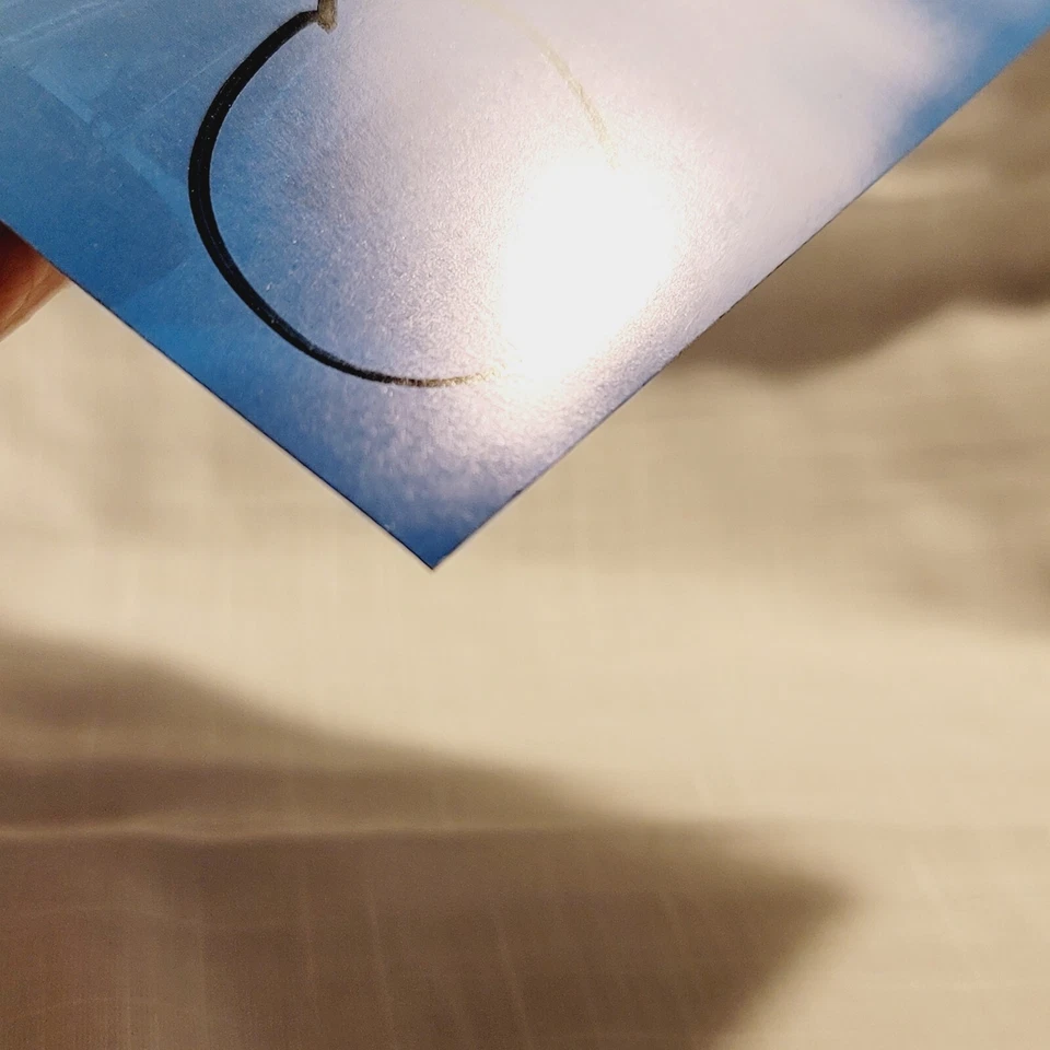 Danica Patrick Signed Indy Car Racing 8x10 Plaque Card Andretti Green Motorola - Image 4 of 4