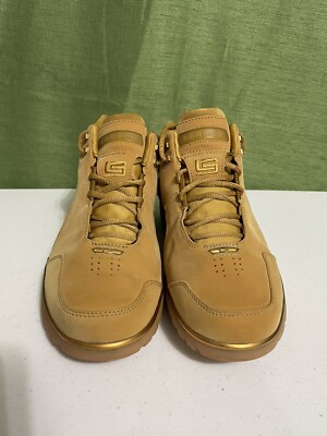 Nike Air Zoom Generation 2004 Wheat All Star LeBron James 308214 
