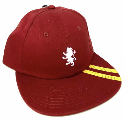 vans gryffindor backpack