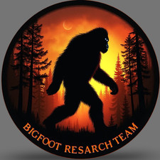 bigfoot sticker vinyl decal orange forest silhouette research team