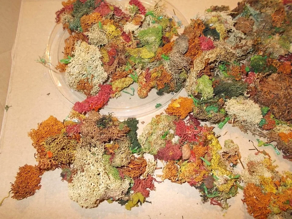 Irisch Moos - Reste in verschiedenen farblichen Sorten - Bild 2 von 3