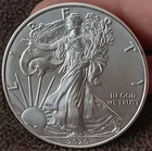2020 Silver Eagle Dollar 1 OZ. .999 BU American Coin #531