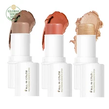 Makeup Kit, Contour, Blush, Highlight Sticks, Facial Repair Bronzer Shading, Cru