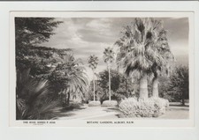 BOTANIC GARDENS ALBURY NSW ROSE PHOTOGRAPH POSTCARD