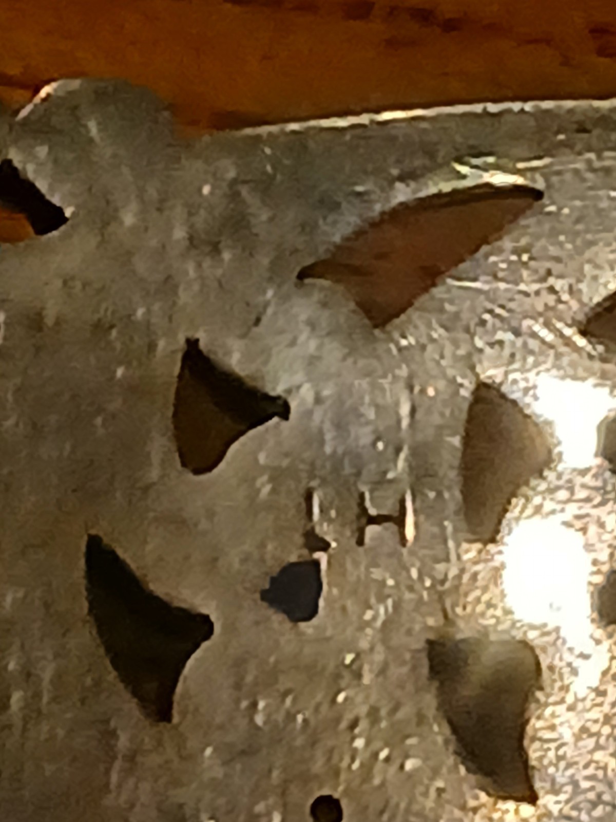 Picture 10 of 10