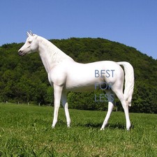 Pferd Schimmel lebensgroß Figur Statue Skulptur Aufstellfigur Deko Reiter Messe