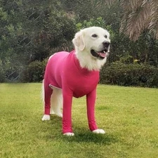 Dog Stretchy Recovery Post Surgery Suit Pet Dog Bodysuit Anxiety Calming Shirts