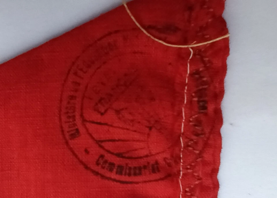 FANION TRICOLORE CJF CHANTIERS DE JEUNESSE FRANCAISE PETAIN - Photo 3/4