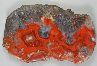 Agate after Barite Pseudomorph Nodule Polished, Yellowcat, Utah