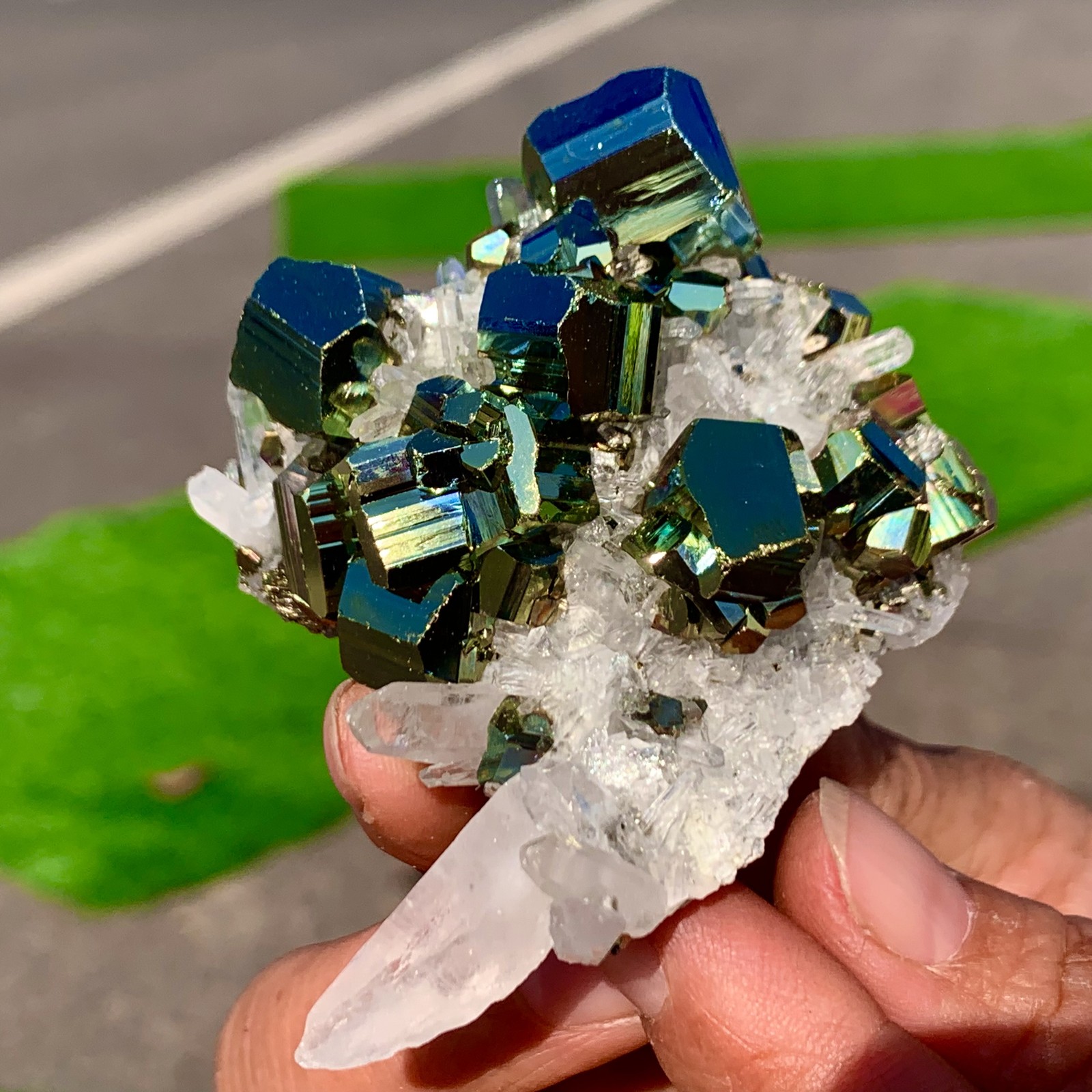 133G Natural colorful chalcopyrite clear Cluster coexisting crystal mineral