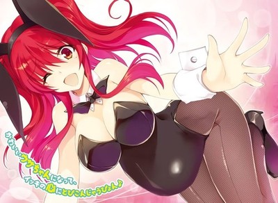 Rakudai Kishi No Cavalry Stella Vermillion Bunny Stitched Anime Playmat Desk Mat