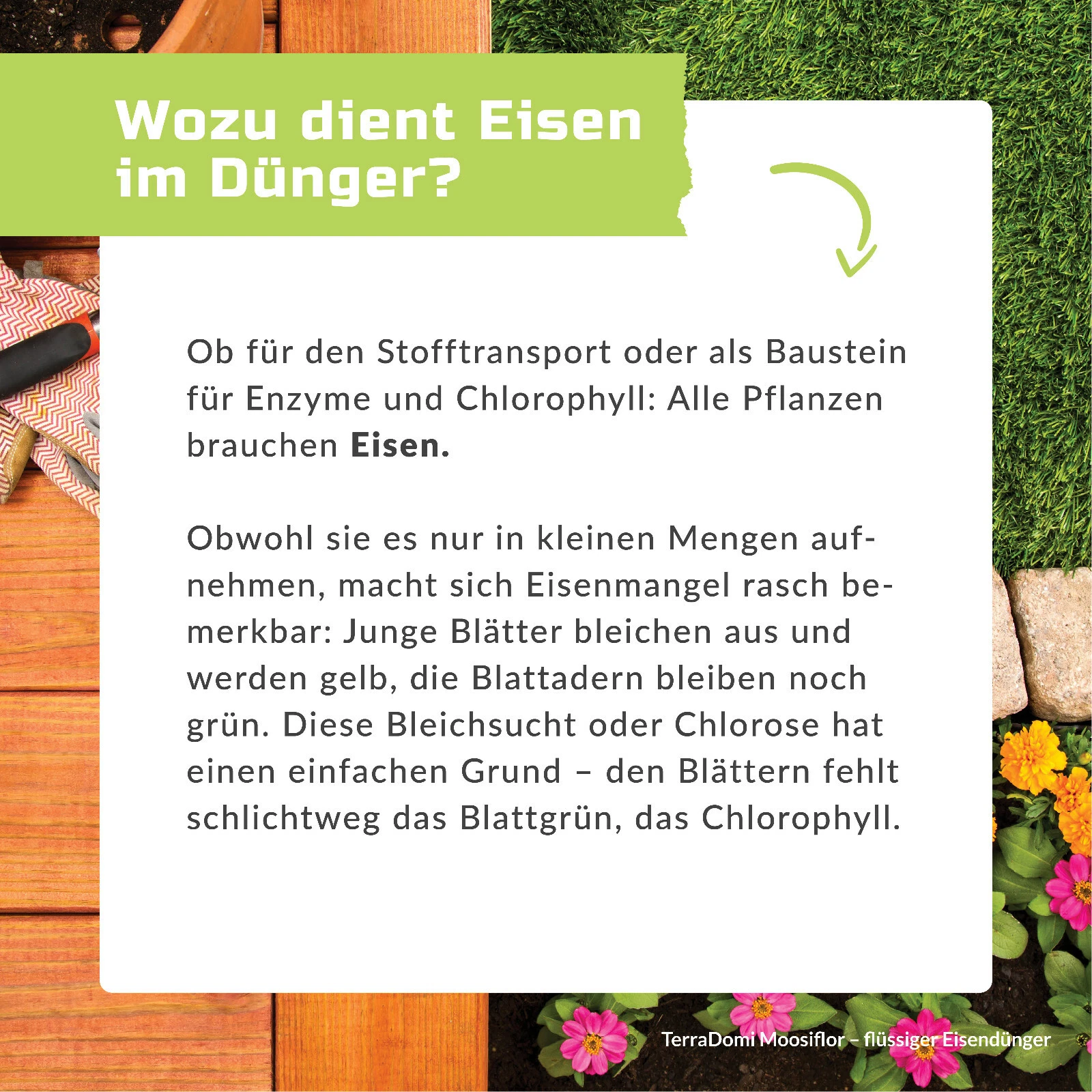 Bild 4 von 6