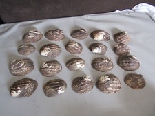 Set of 20 Fifty Year Old Stock Mother of Pearl Unpolished Clam Shell 4 Pounds