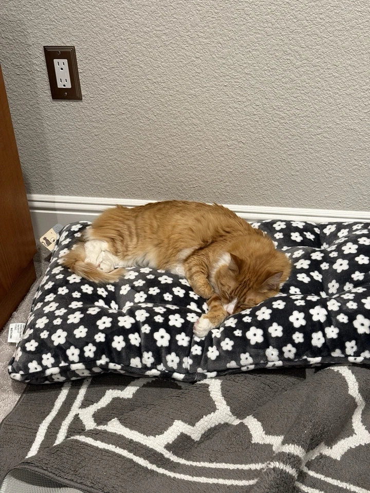 1928-P "Woody" Lincoln 1c ~ Two Long Die Cracks on Upper Obverse ~ WOW ~ H64 - Image 4 of 4