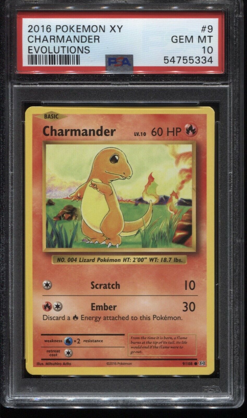 Pin by Lycan10 on Geek  Charmander evolution, Charmander, Pokémon