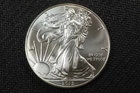 NobleSpirit (LG) Superb Gem BU 2013 American Silver 1oz Eagle