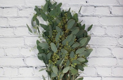 Fresh & Natural Seeded Eucalyptus